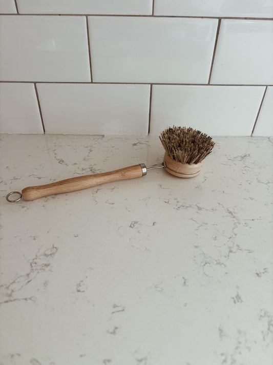 Dish brush